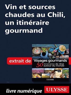 cover image of Vin et sources chaudes au Chili, un itinéraire gourmand